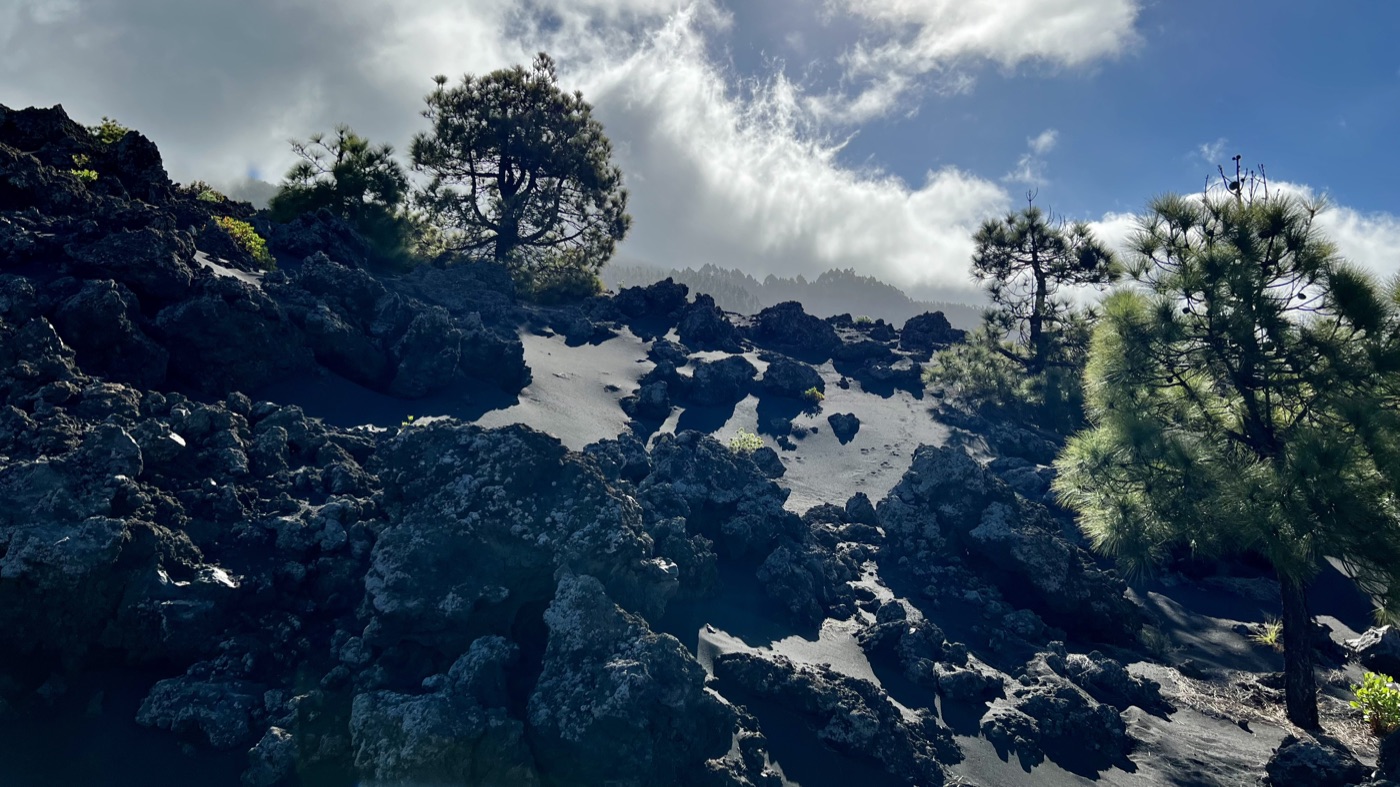 Tanausú: The Last Free Chief of La Palma