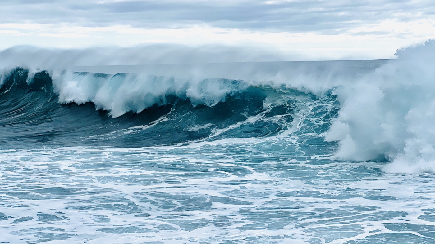 Fishing in La Palma: Big Game, Charters and What You Can Catch