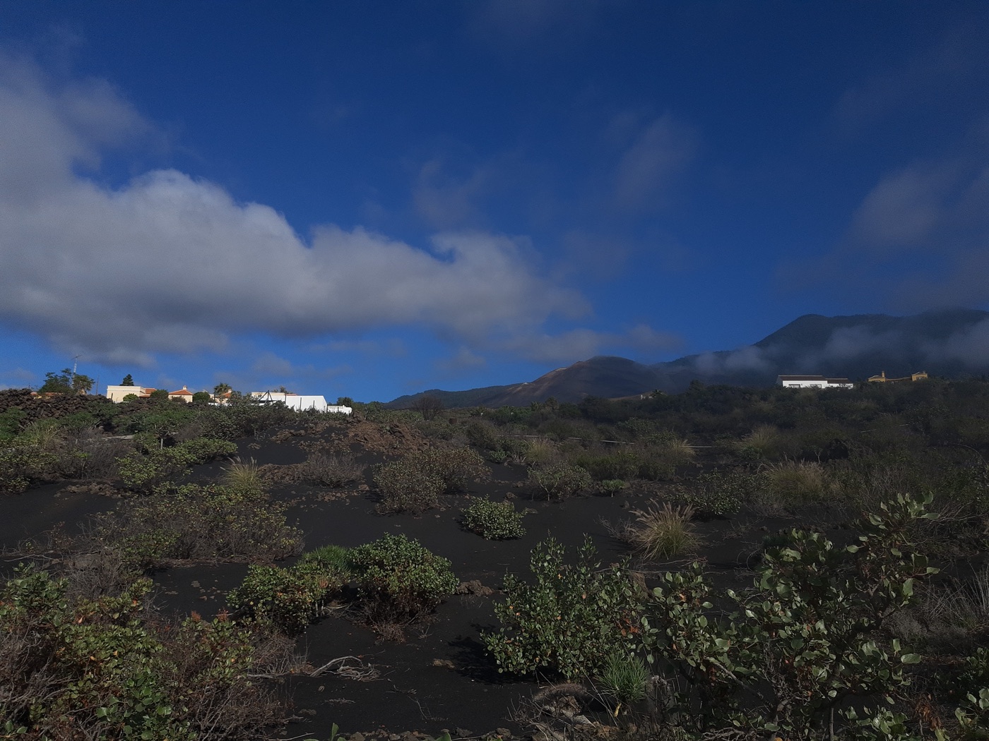 Houses at the edge of the 2021 lava field on La Palma